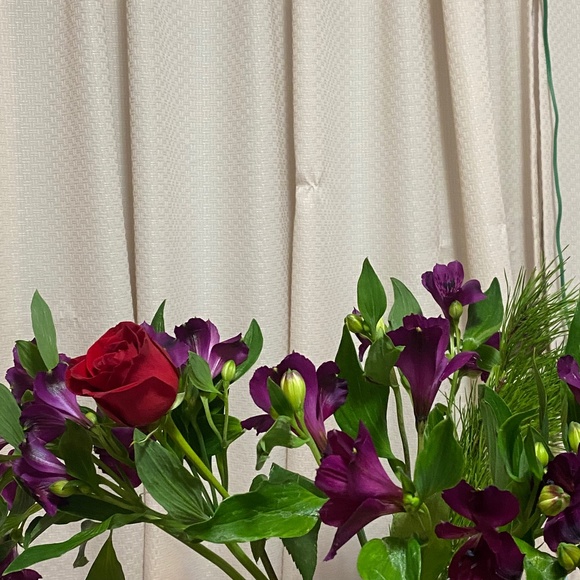 hii - Picture 1 of 1